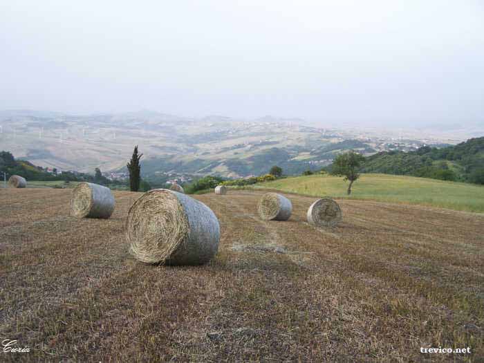 Il Territorio