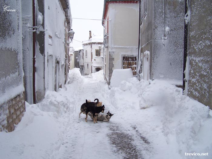 Il clima