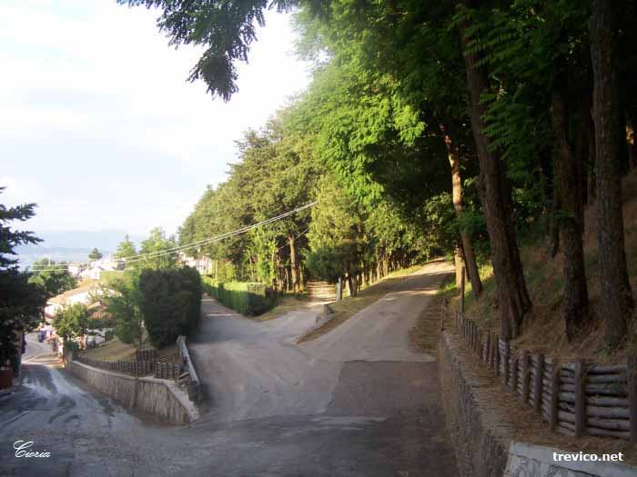 Il bosco dell'Impero