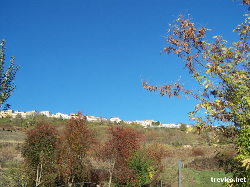 Trevico