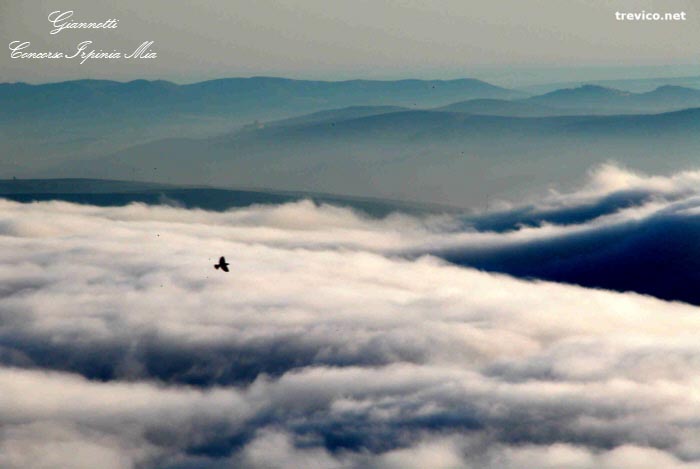 Volo sulla nebbia