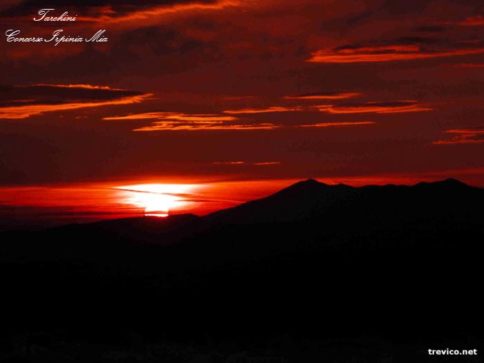 Vulture all'alba