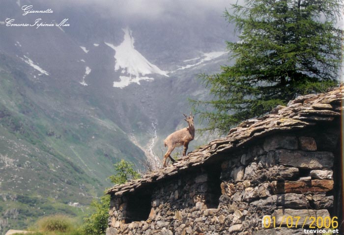 Incontri ravvicinati in Valsesia