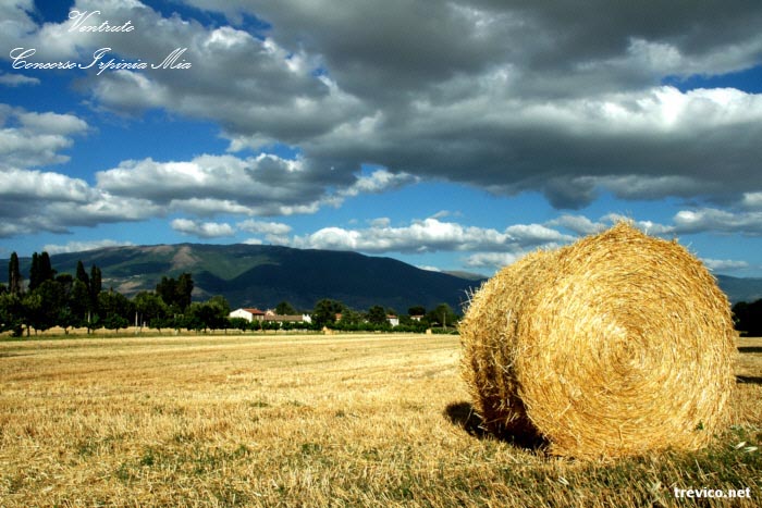 Lavoro nei campi