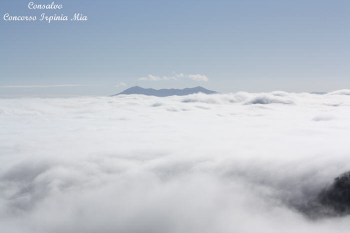 Il Vulture e la nebbia