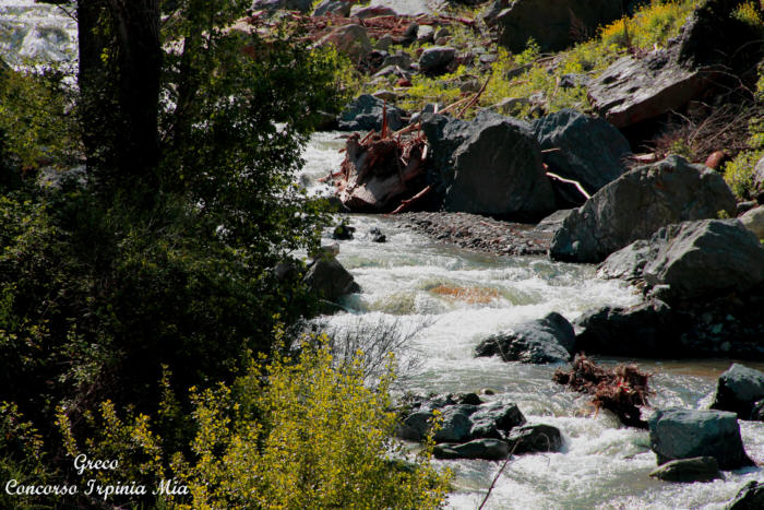 Torrente