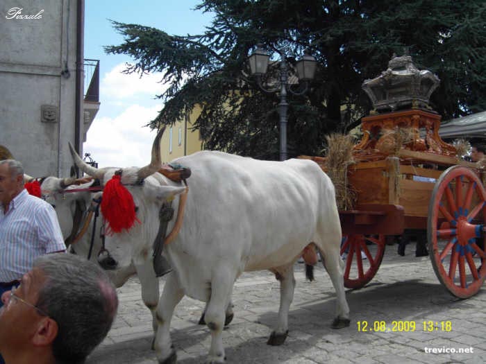 Procession of St. Euplio