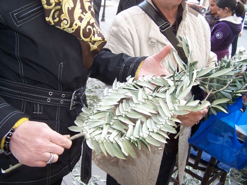 Domenica delle Palme