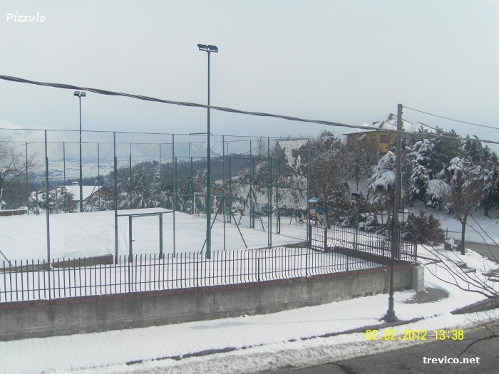 Campo polivalente