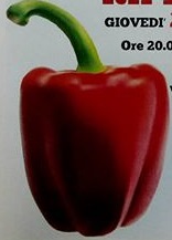 Sagra del Peperone Ripieno