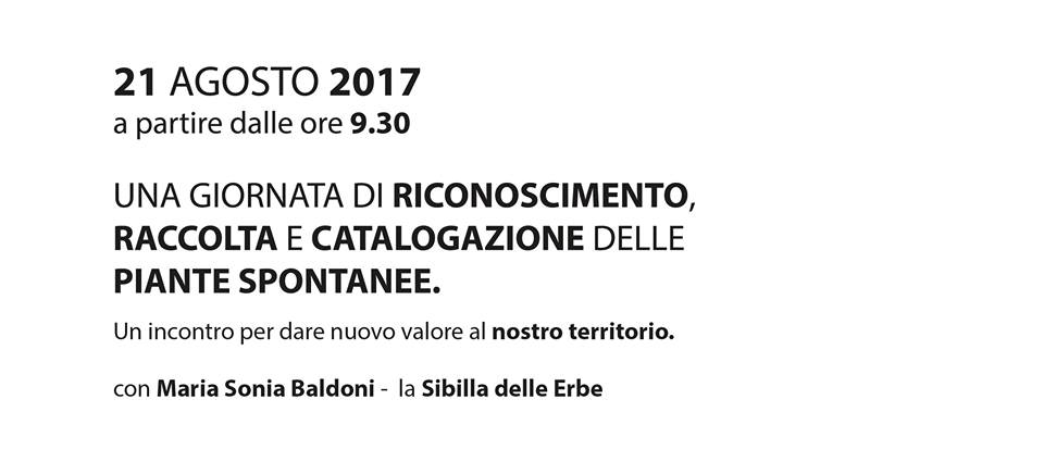 Giornata di riconoscimento, raccolta e catalogazione delle piante spontanee