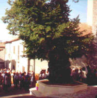 Festa sotto al Tiglio